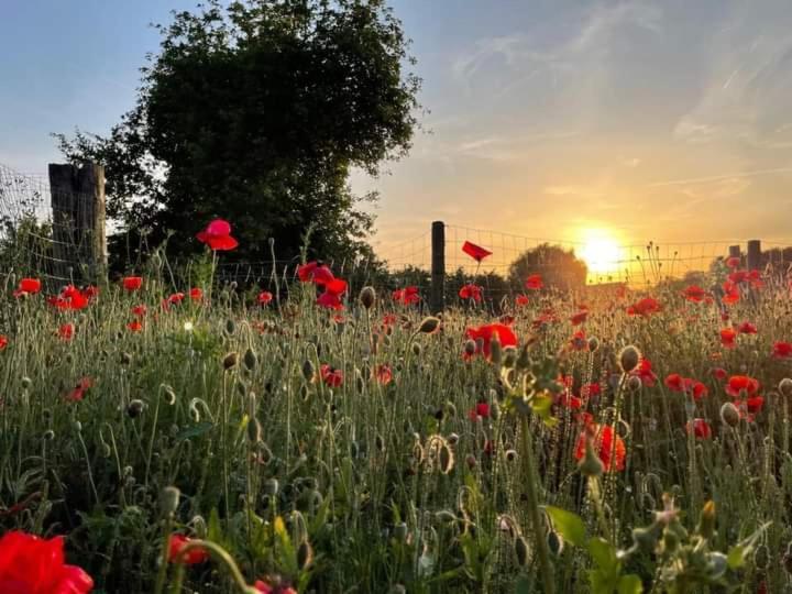 De Lokroep Heers Bagian luar foto