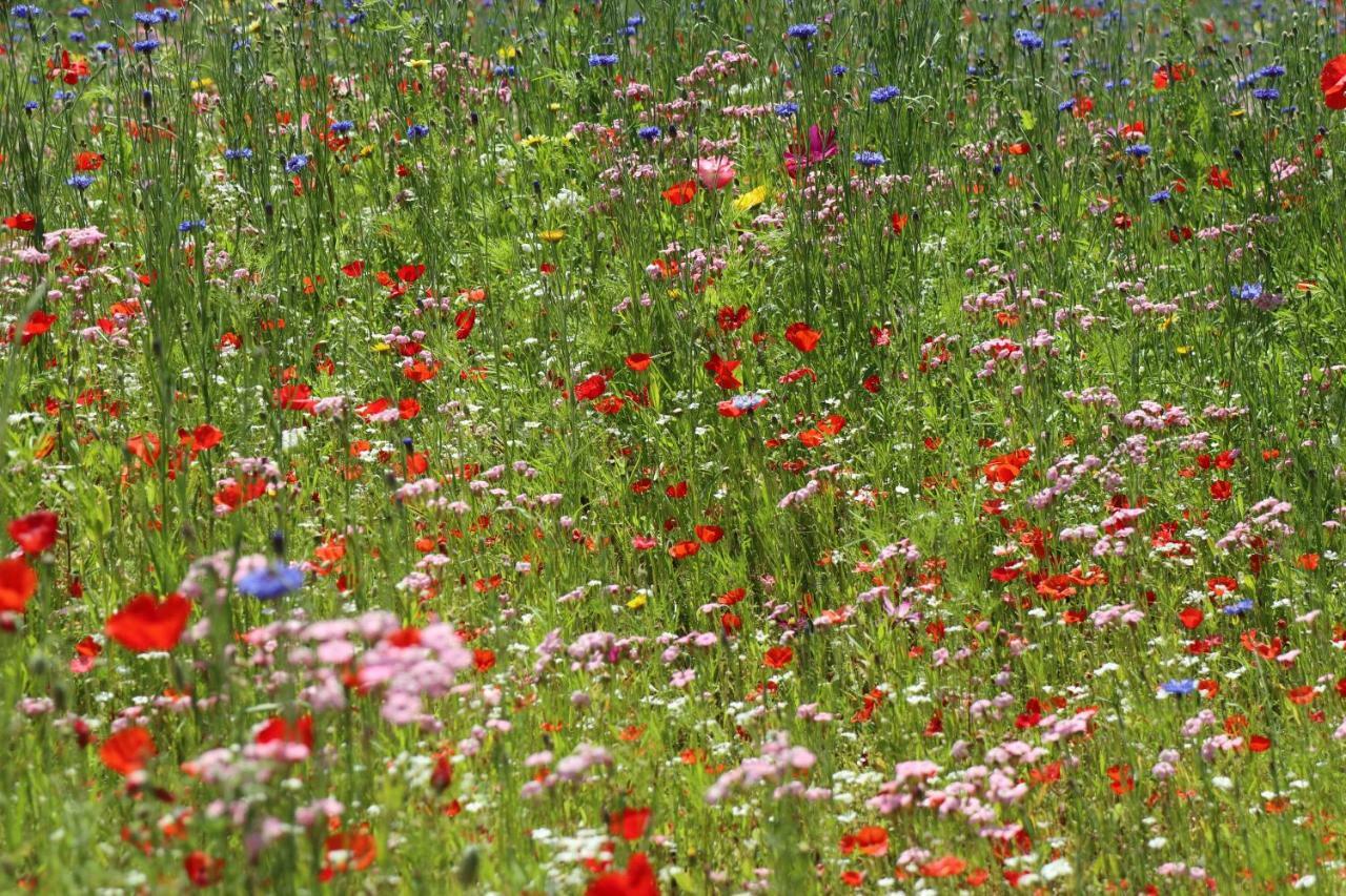 De Lokroep Heers Bagian luar foto